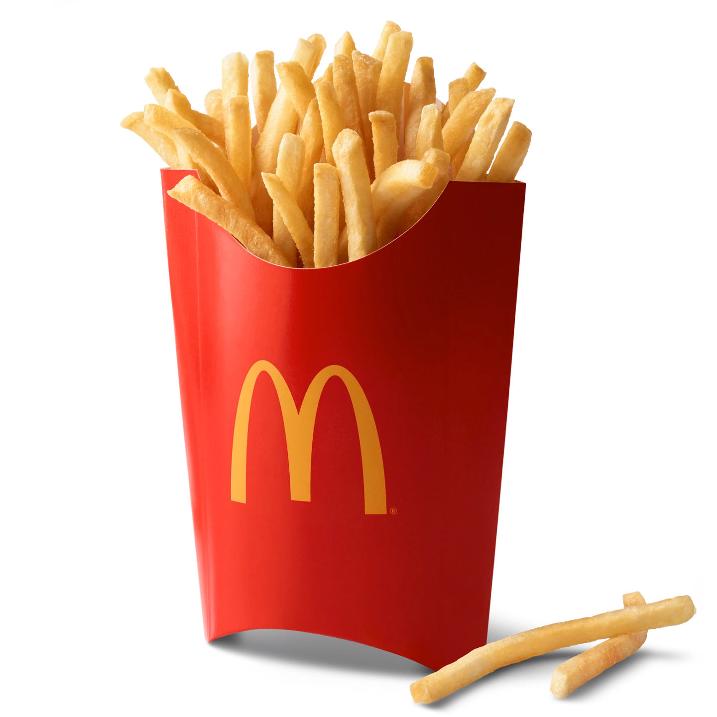 World Famous Fries Large