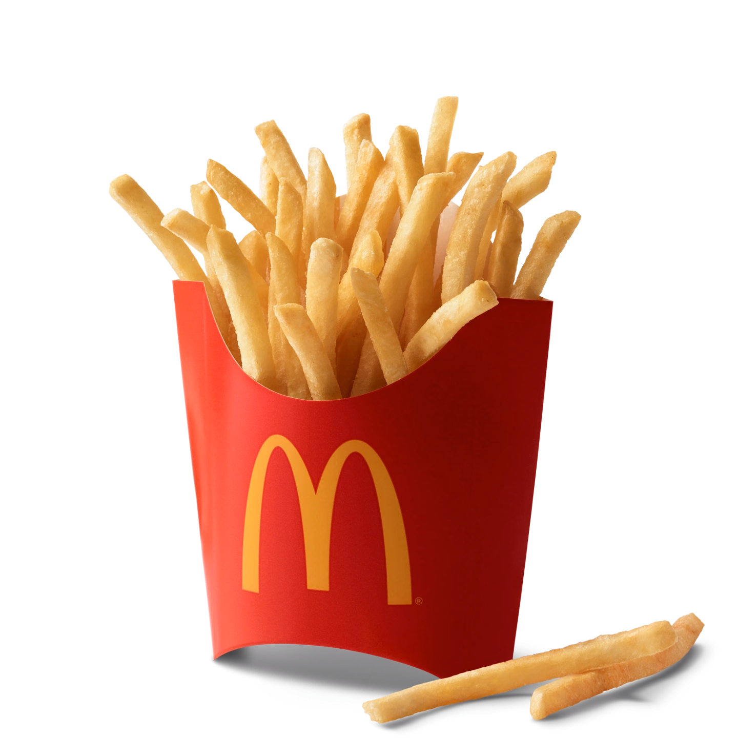 World Famous Fries Medium